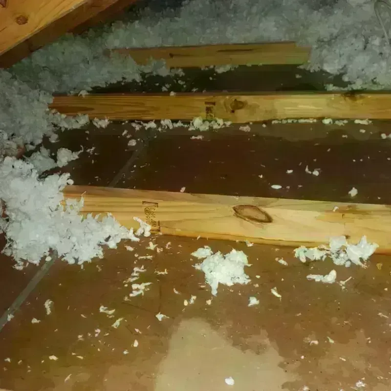 Attic Water Damage in Barnesville, OH